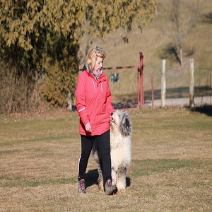 Anke