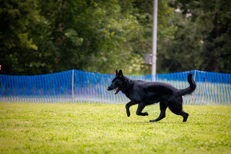 hoopers-am-buchenbach_turnier_20250615_118