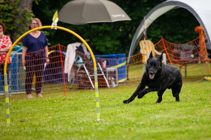hoopers-am-buchenbach_turnier_20250615_119