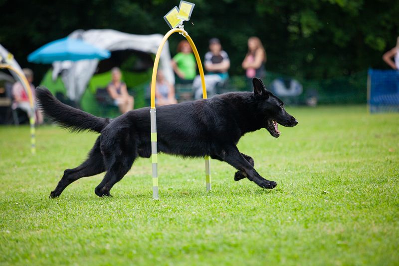 hoopers-am-buchenbach_turnier_20250615_120