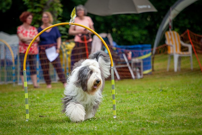 hoopers-am-buchenbach_turnier_20250615_125
