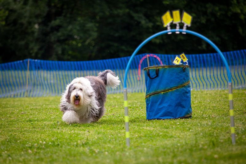hoopers-am-buchenbach_turnier_20250615_126