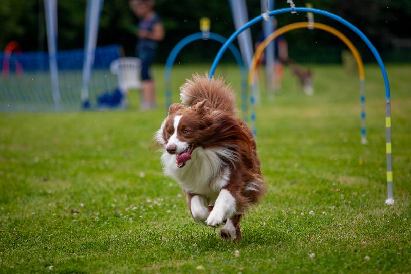 hoopers-am-buchenbach_turnier_20250615_159