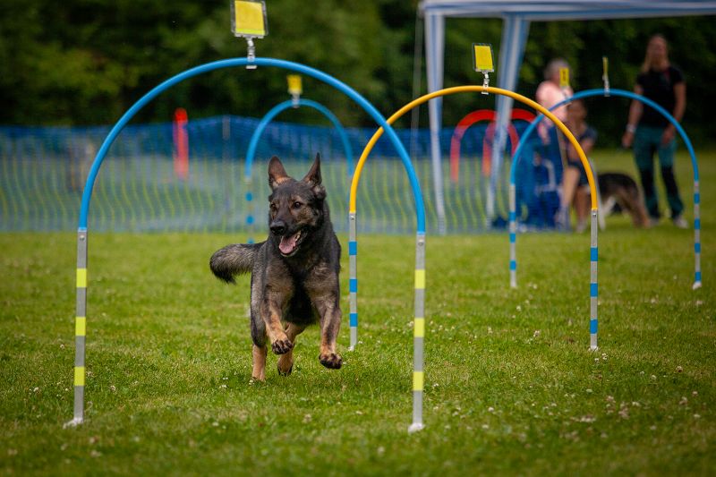 hoopers-am-buchenbach_turnier_20250615_173