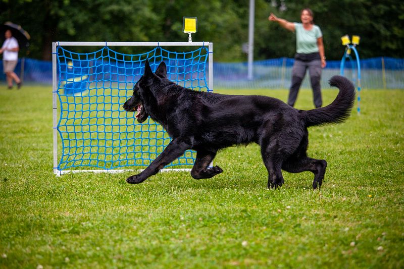 hoopers-am-buchenbach_turnier_20250615_190