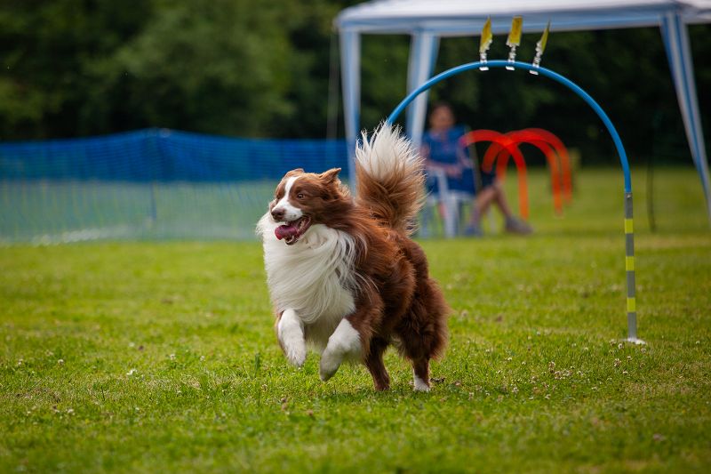 hoopers-am-buchenbach_turnier_20250615_30