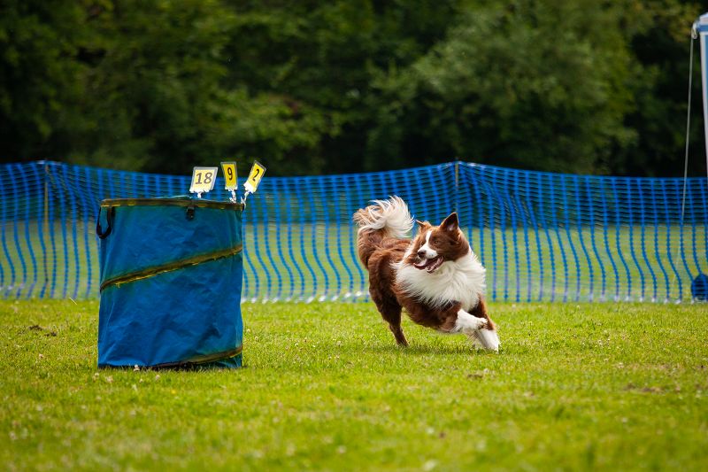 hoopers-am-buchenbach_turnier_20250615_31