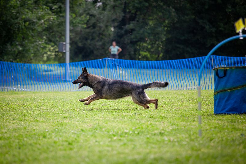 hoopers-am-buchenbach_turnier_20250615_81