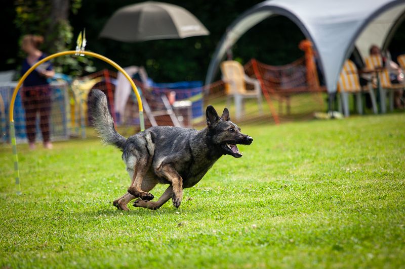 hoopers-am-buchenbach_turnier_20250615_82