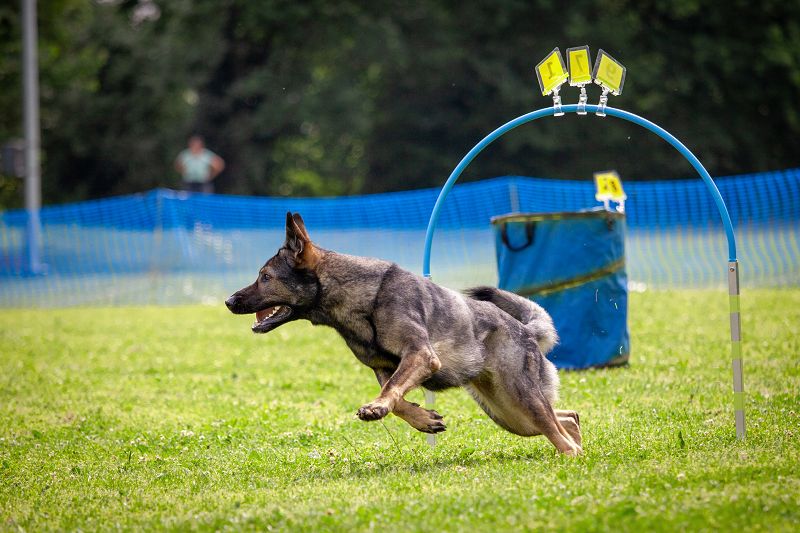 hoopers-am-buchenbach_turnier_20250615_83