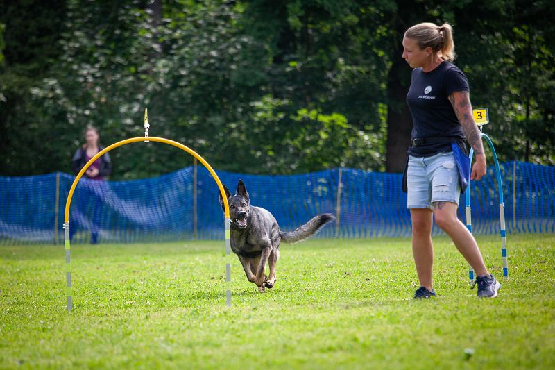 hoopers-am-buchenbach_turnier_20250615_84